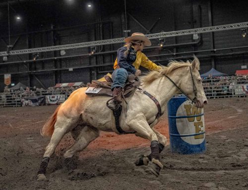 Western Experience (NL)