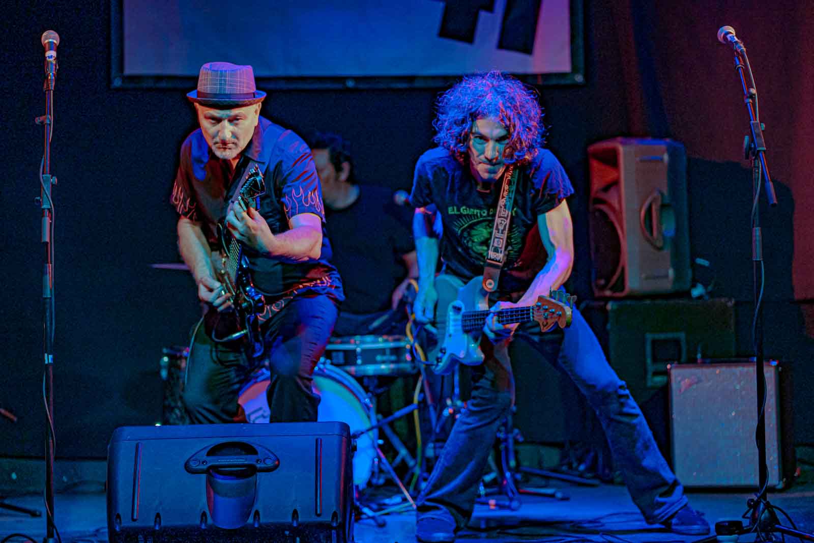 Sir Bald Y Los Haires