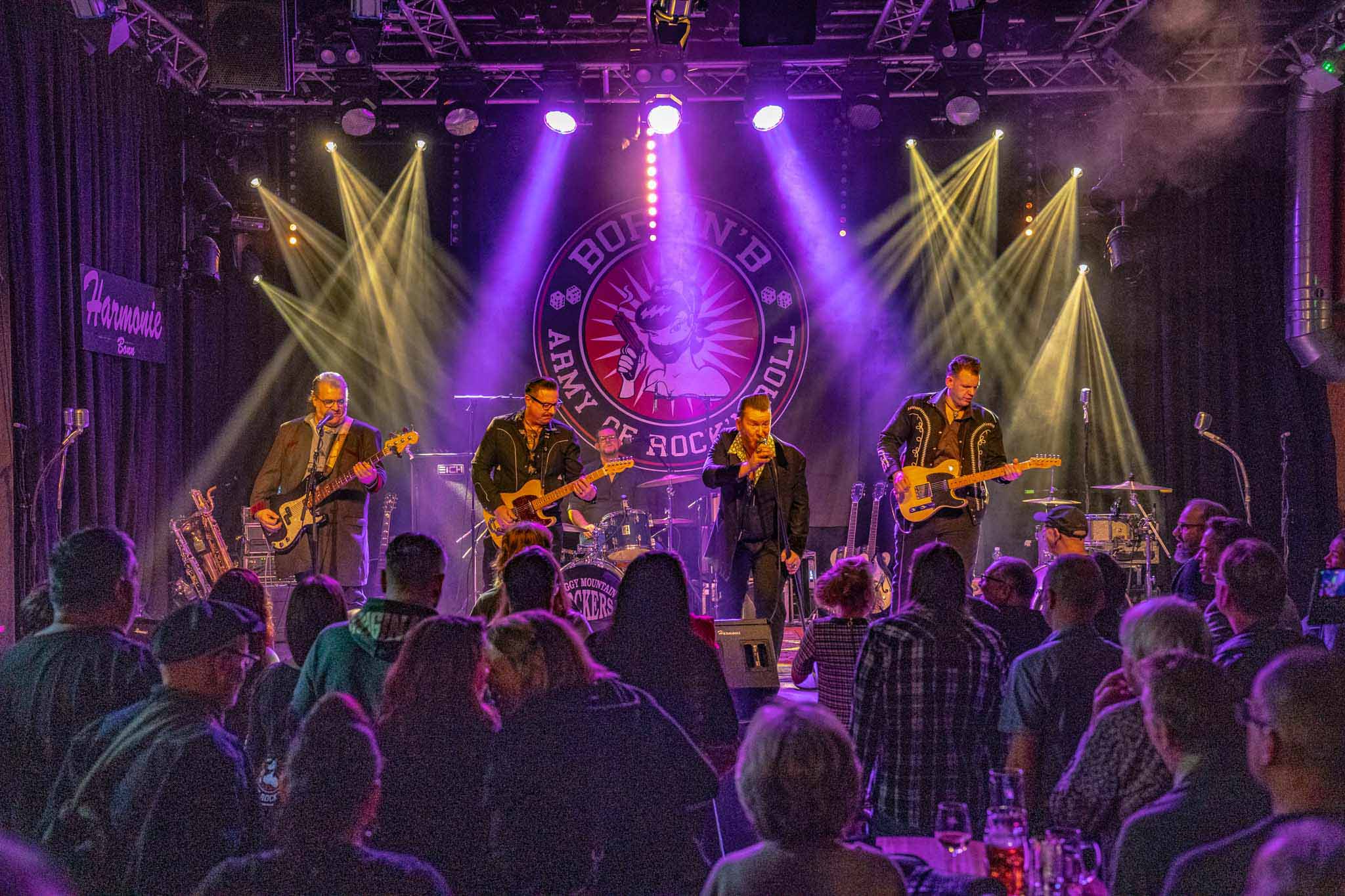 Foggy Mountain Rockers