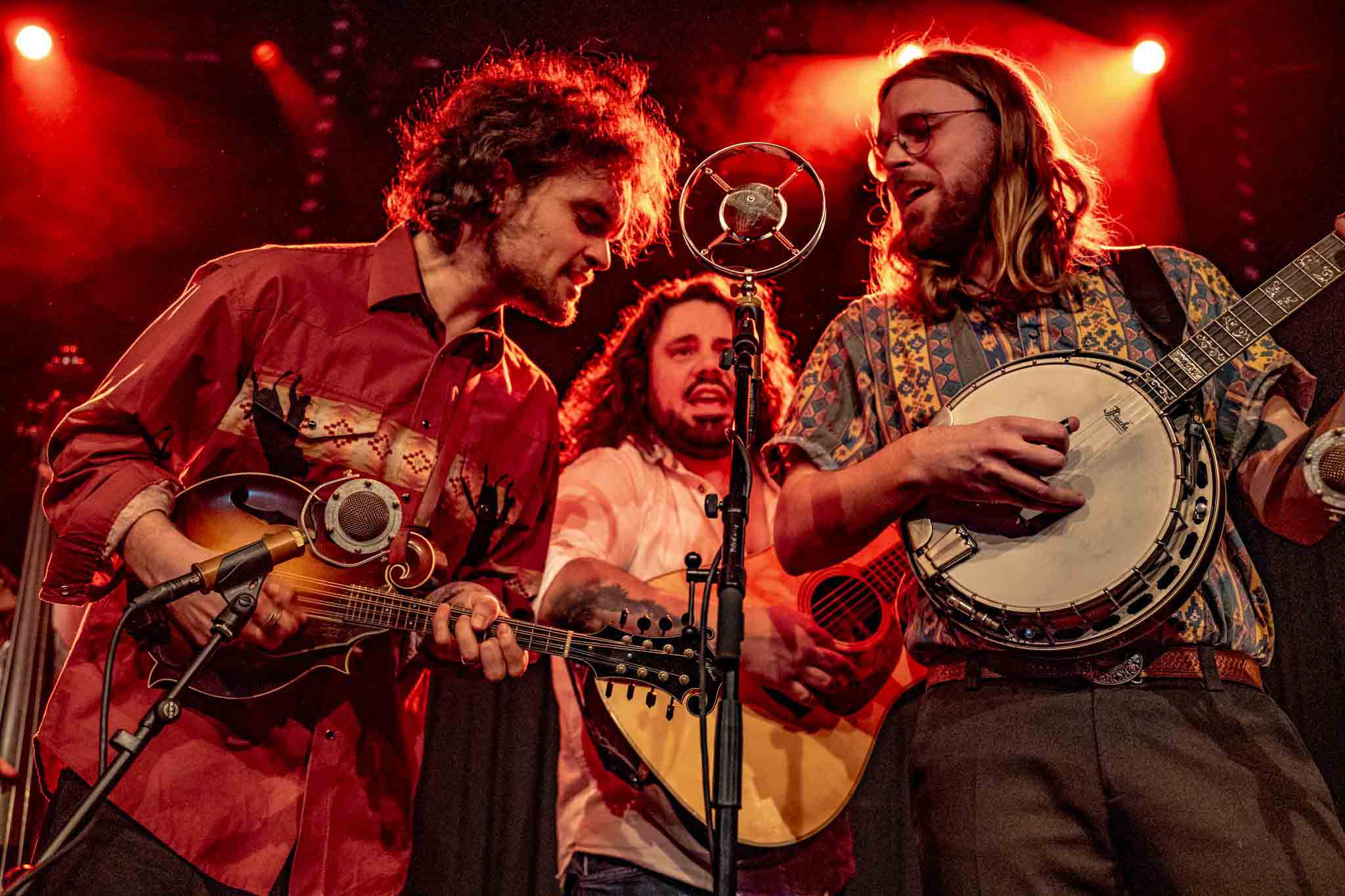 2026 Bluegrass Festival Harmonie Bonn