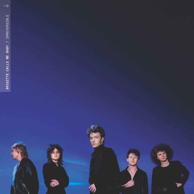 Brigitte Calls Me Baby: Irreversible