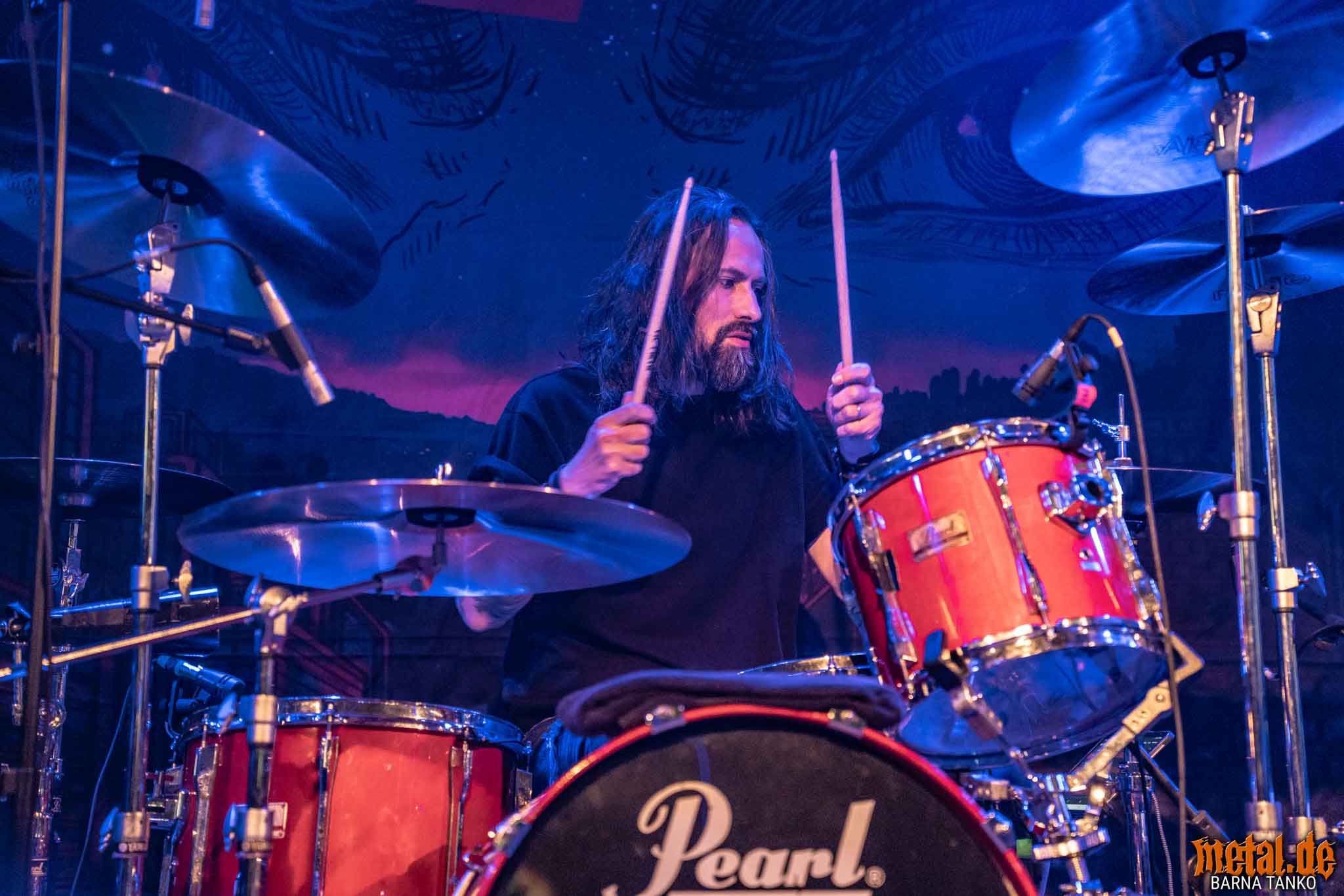 King Zebra King Zebra - Live at Club Volta in Köln