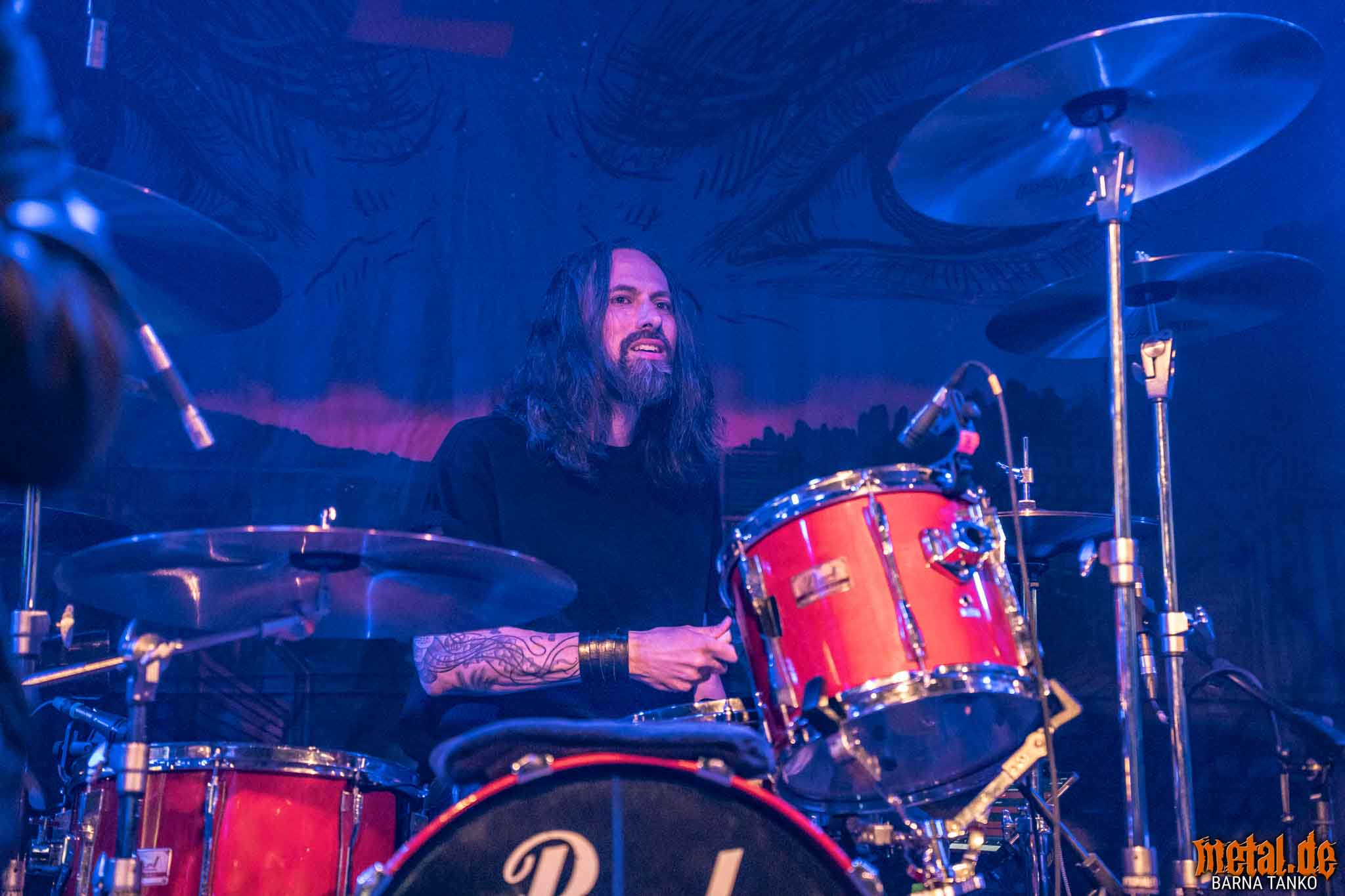 King Zebra King Zebra - Live at Club Volta in Köln