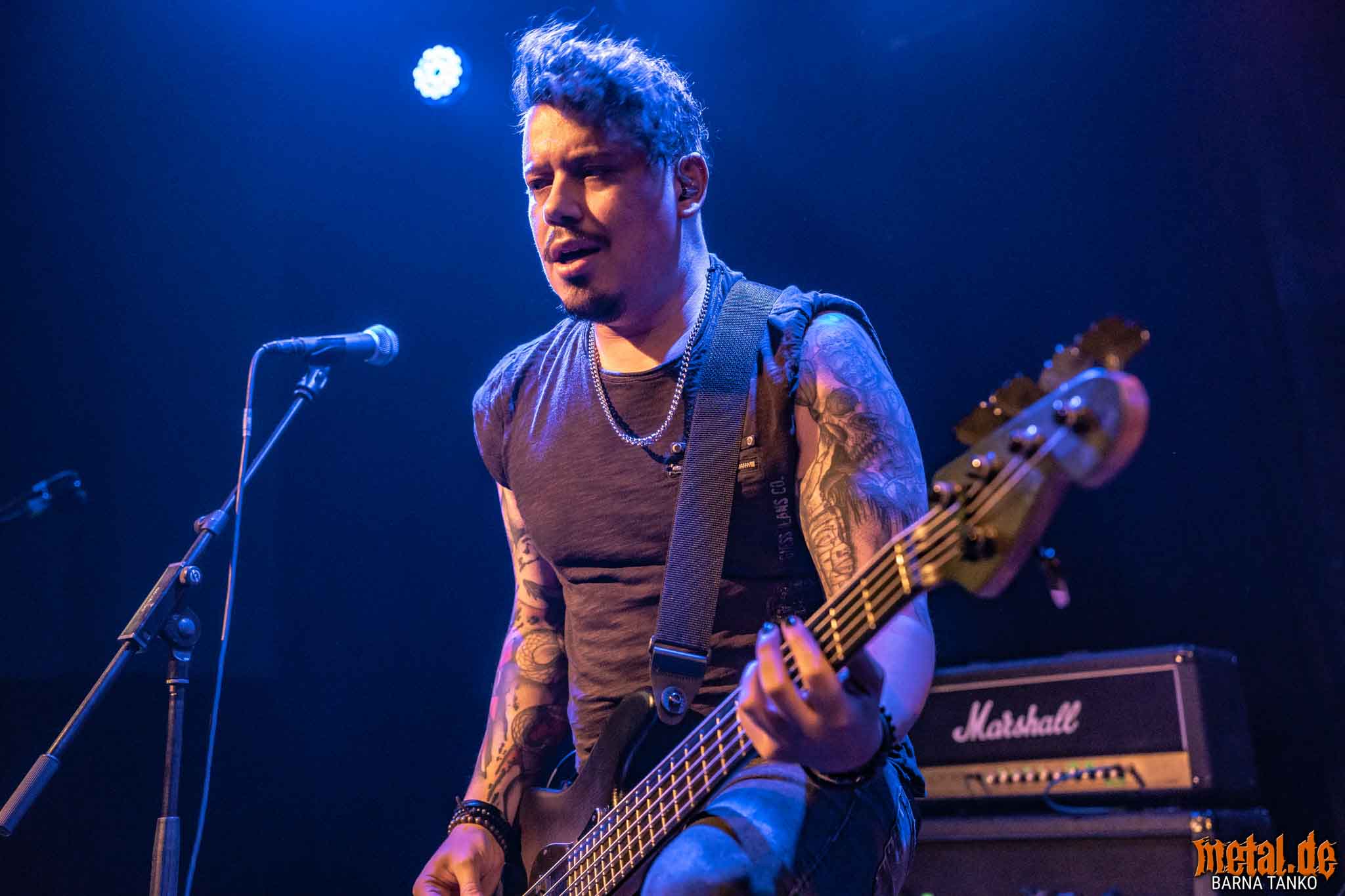 King Zebra King Zebra - Live at Club Volta in Köln