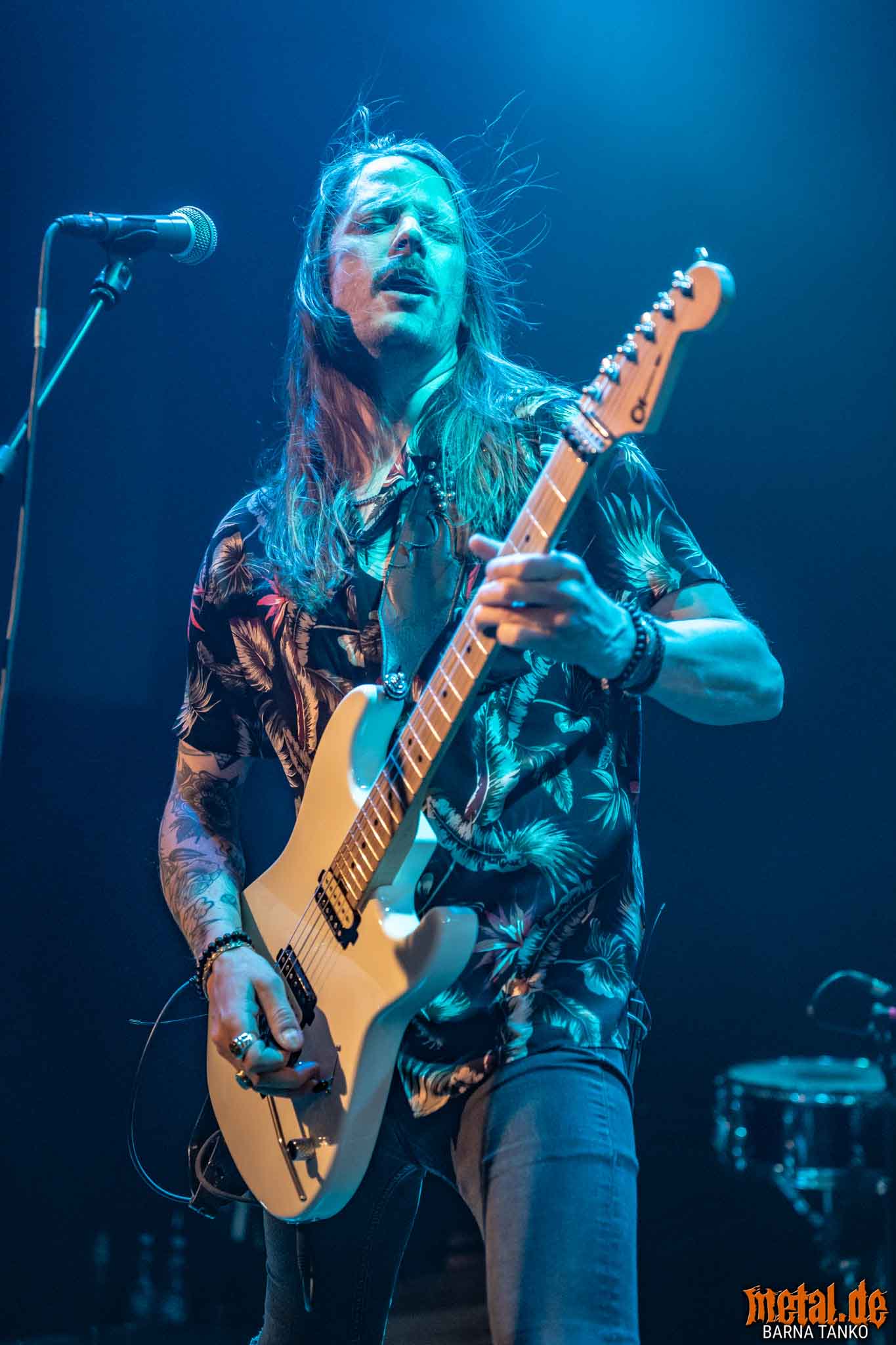 King Zebra King Zebra - Live at Club Volta in Köln