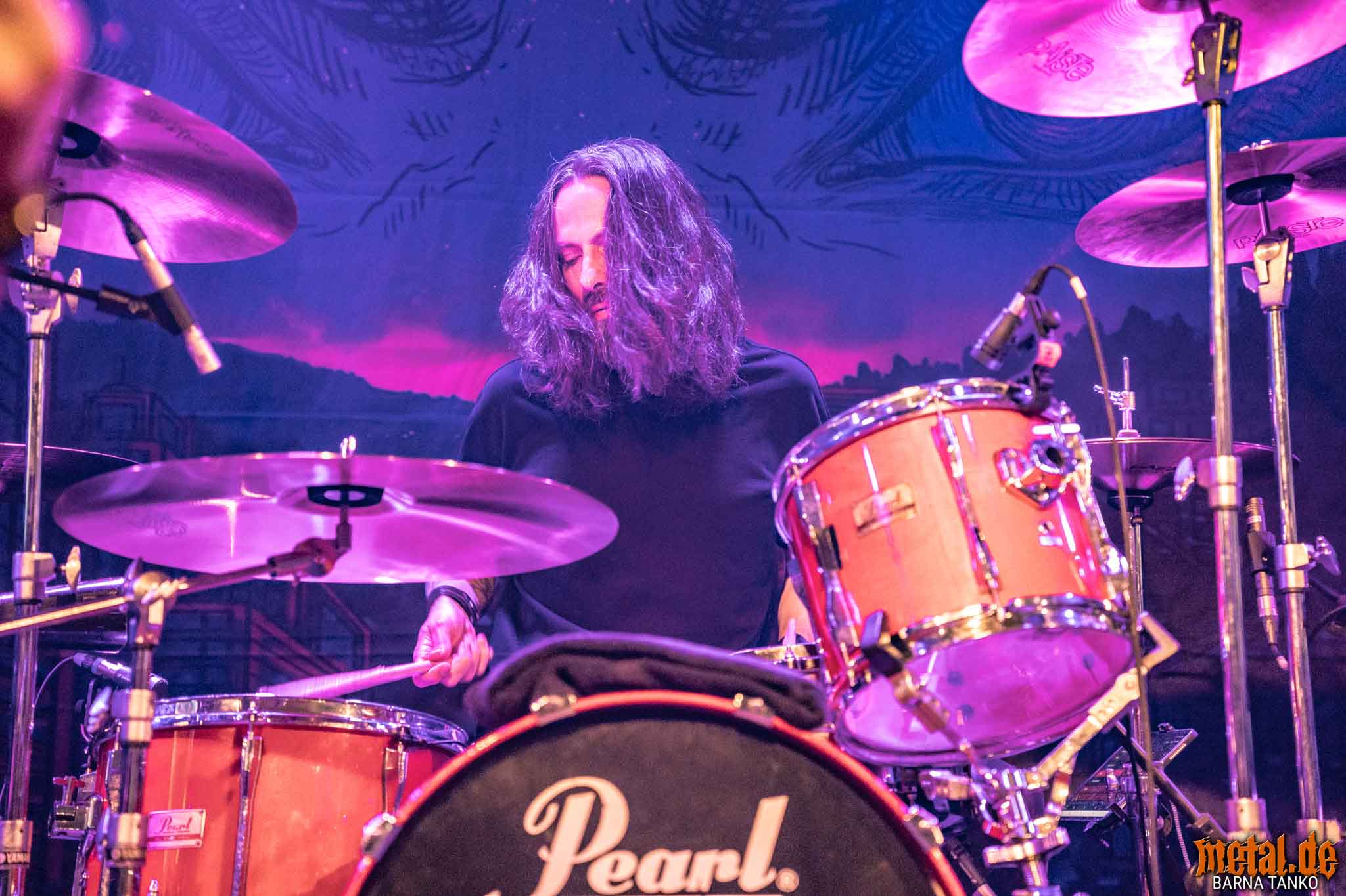 King Zebra King Zebra - Live at Club Volta in Köln