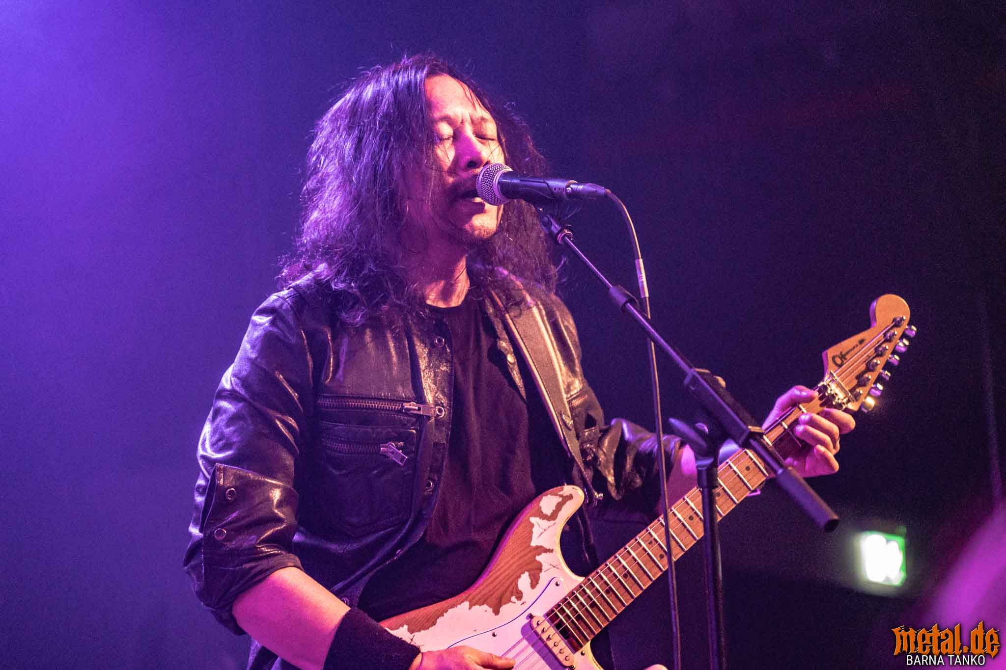 King Zebra King Zebra - Live at Club Volta in Köln