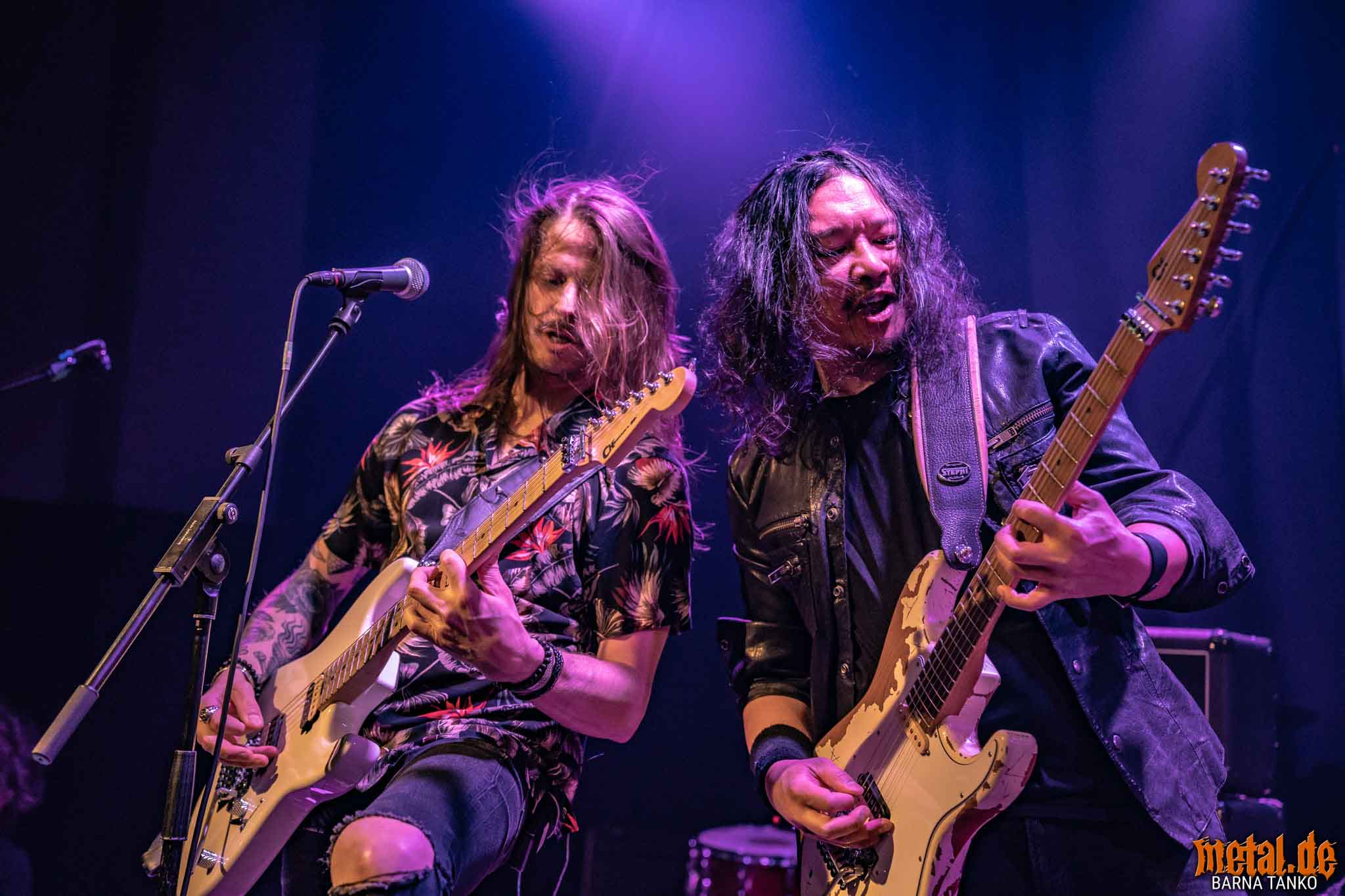 King Zebra King Zebra - Live at Club Volta in Köln