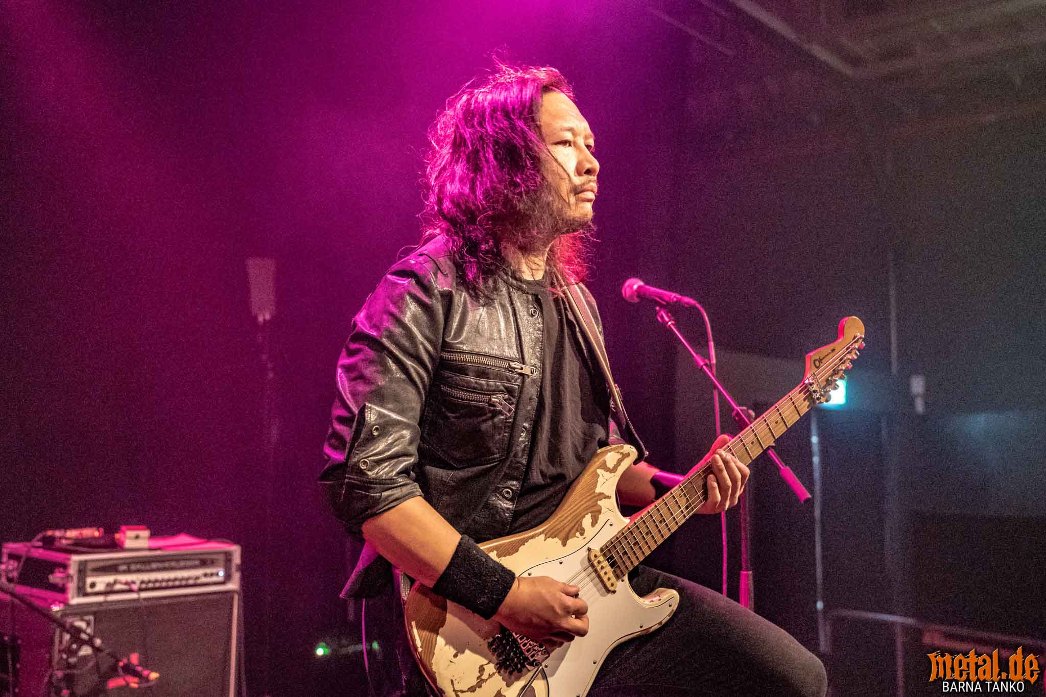 King Zebra King Zebra - Live at Club Volta in Köln