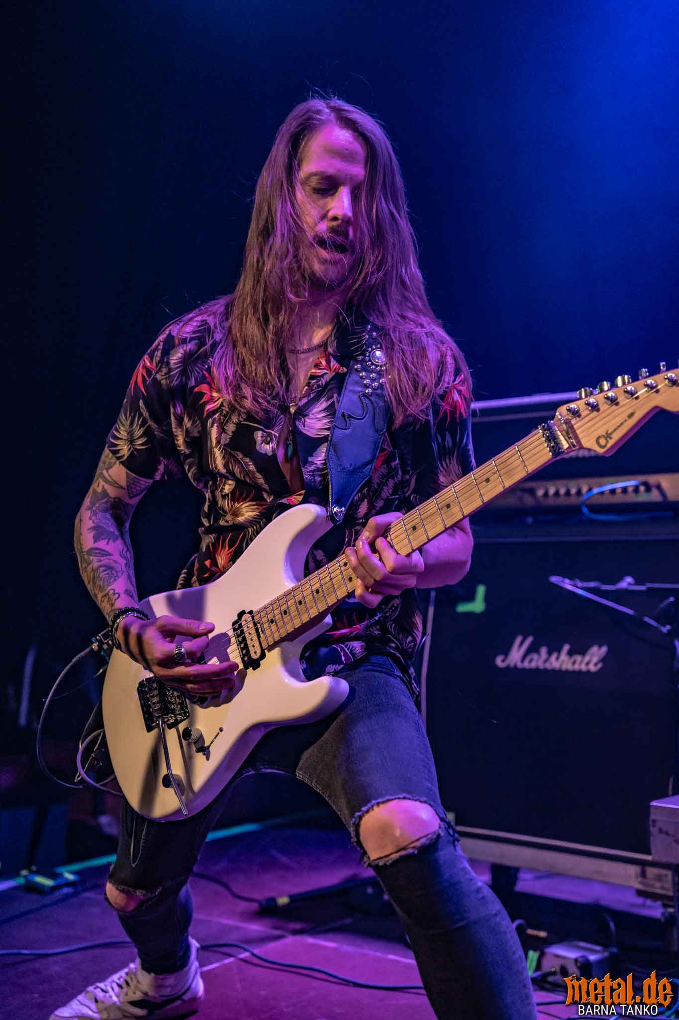 King Zebra King Zebra - Live at Club Volta in Köln