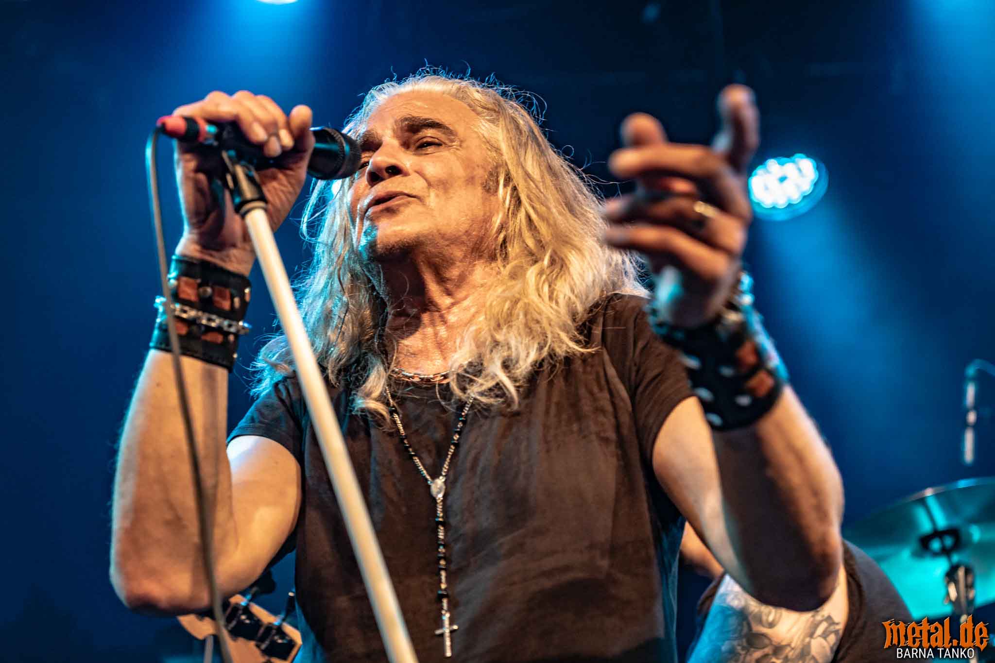 King Zebra King Zebra - Live at Club Volta in Köln