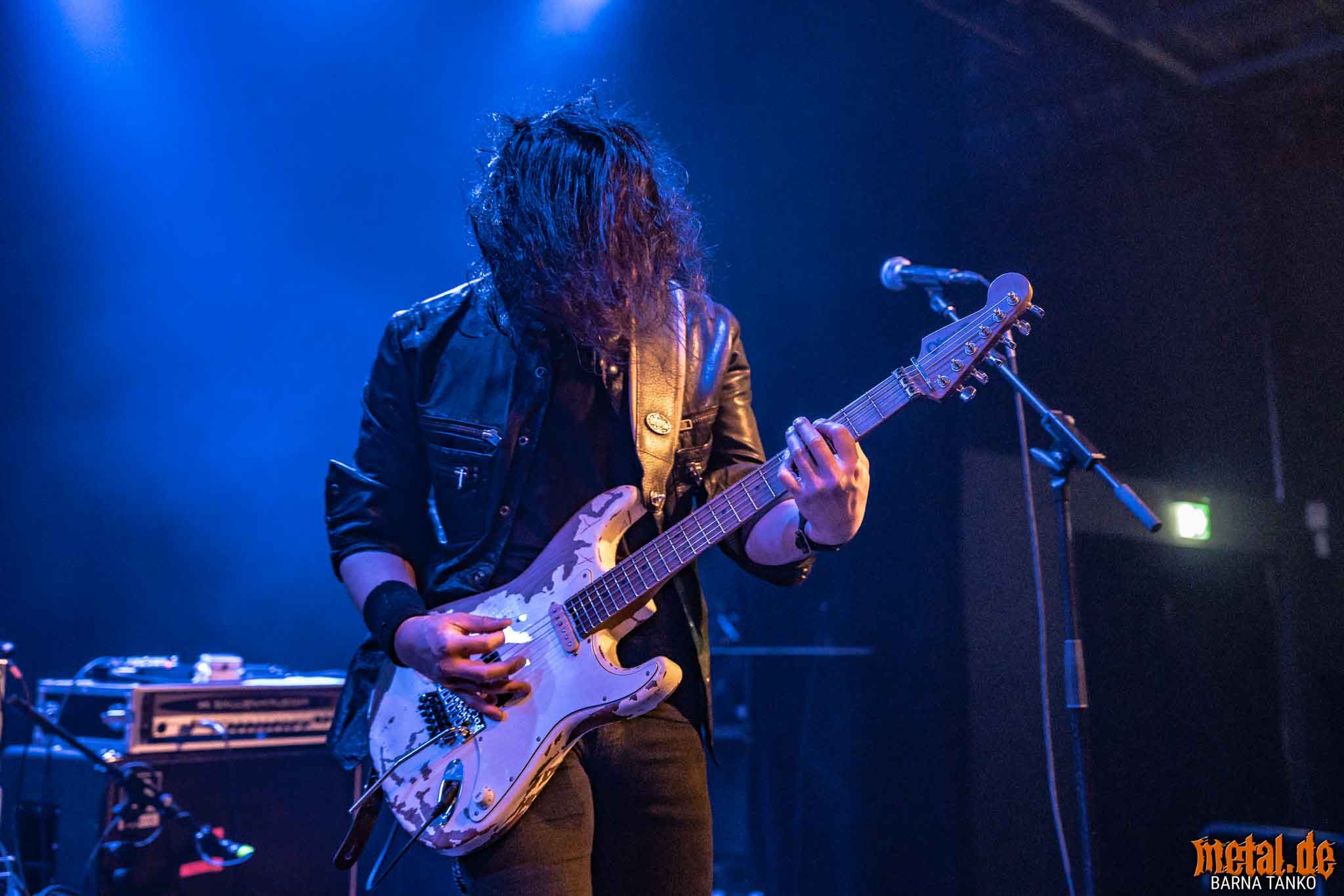 King Zebra King Zebra - Live at Club Volta in Köln