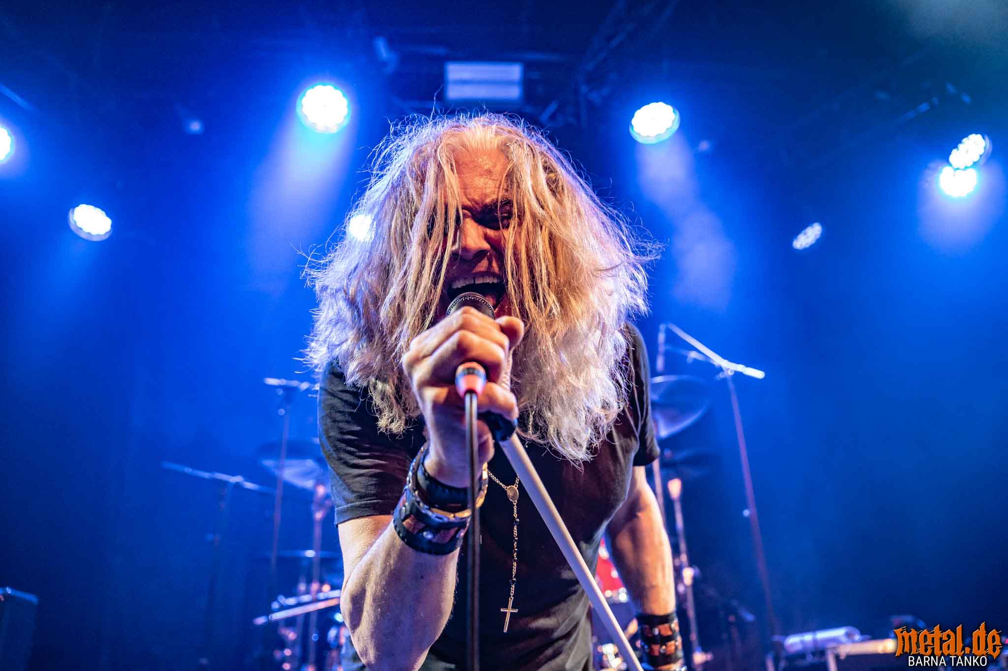 King Zebra - Live at Club Volta in Köln