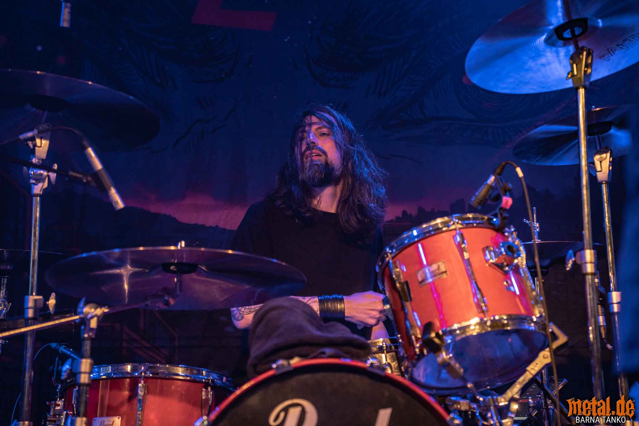 King Zebra King Zebra - Live at Club Volta in Köln