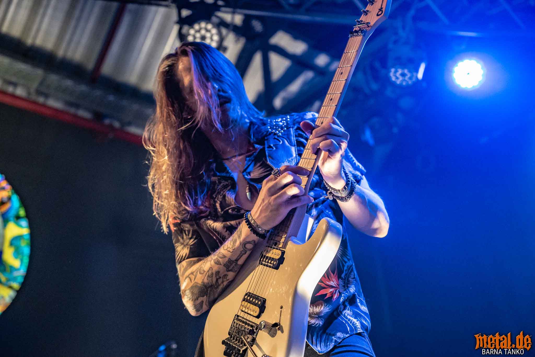 King Zebra King Zebra - Live at Club Volta in Köln