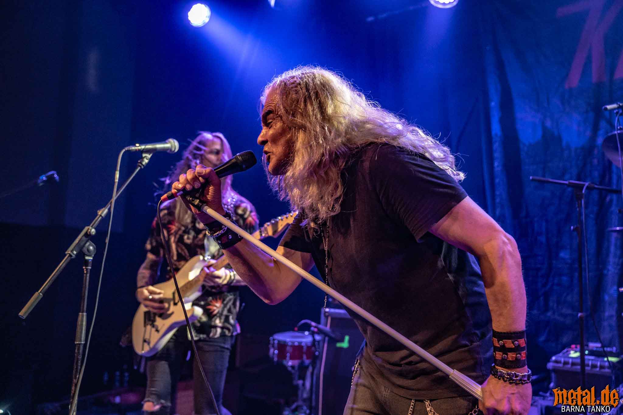 King Zebra King Zebra - Live at Club Volta in Köln