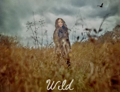 Ashley McBryde – Wild