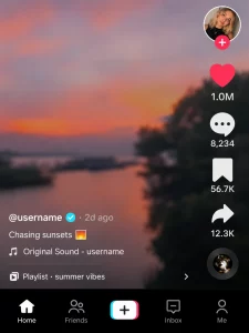TikTok Is Creating Overnight Stars